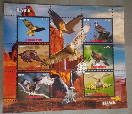 СЕРИЯ Блоков птицы  фауна MNH