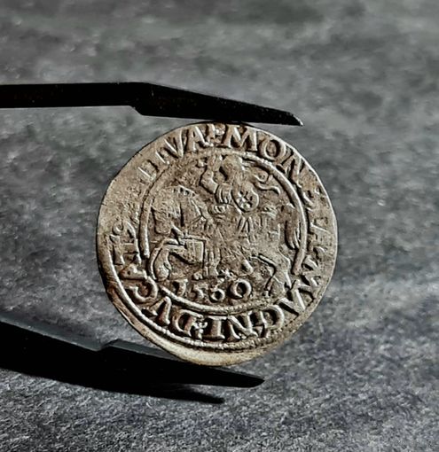 Полугрош 1560 года ХОРОШИЙ