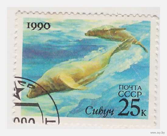 СССР Сивуч 1990